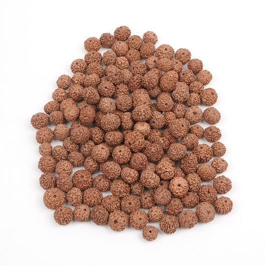 8 Mukhi Indonesian Rudraksha – Original Aath Mukhi Bead for Success & Protection