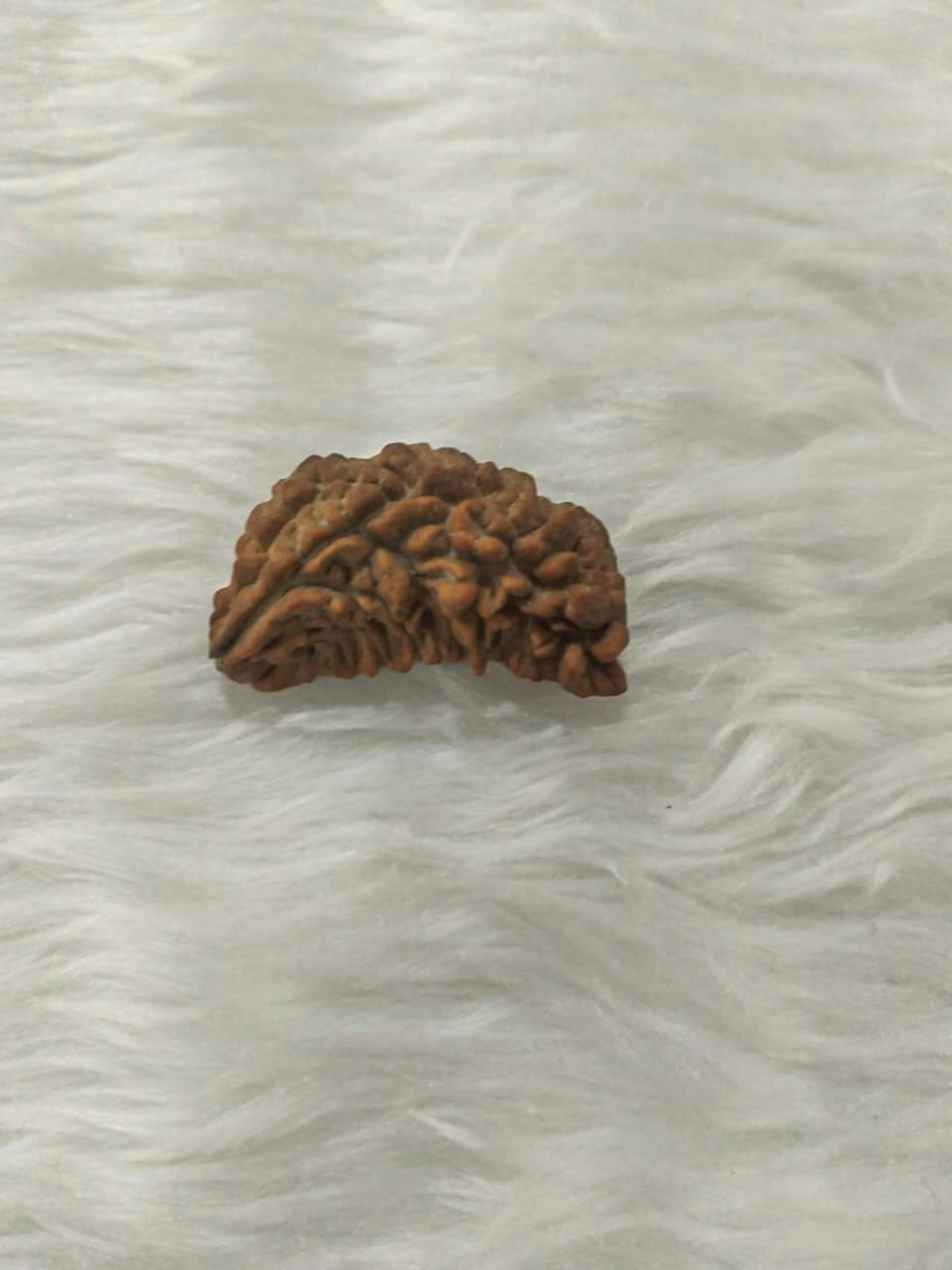 1 Mukhi