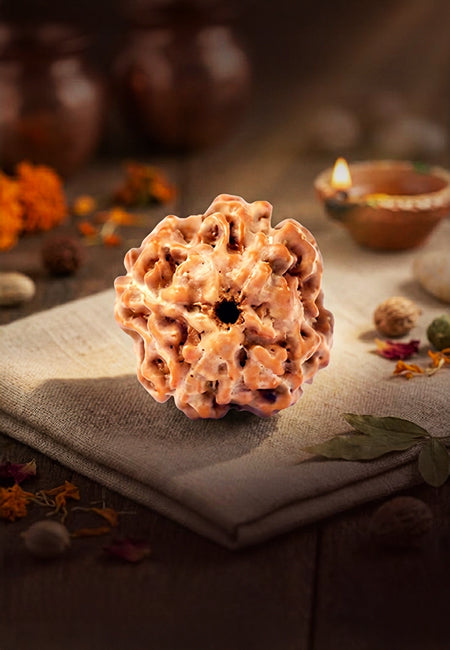 4 Mukhi Indonesian Rudraksha
