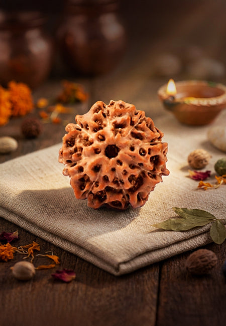 8 Mukhi Indonesian Rudraksha
