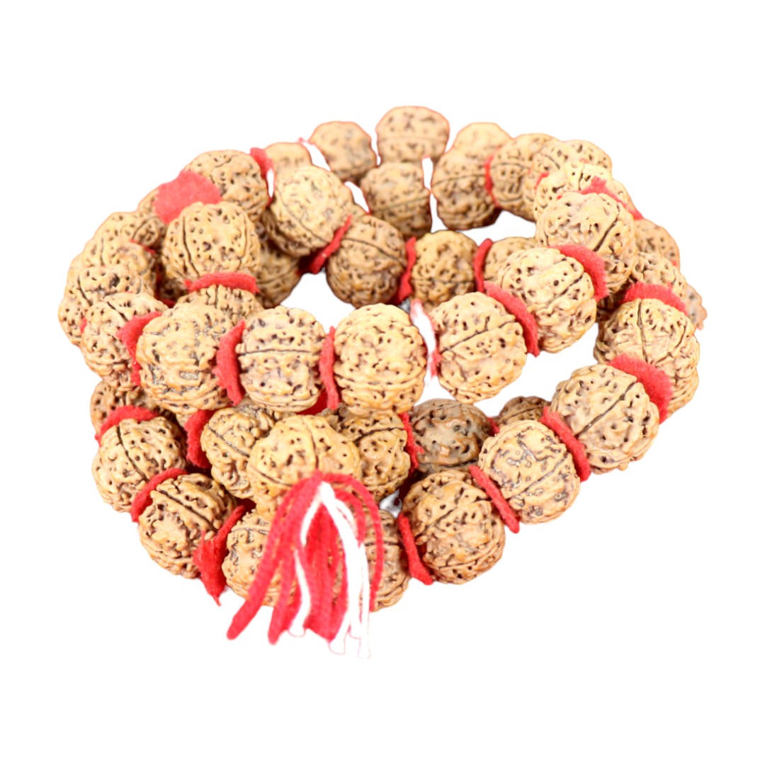 Rudraksha