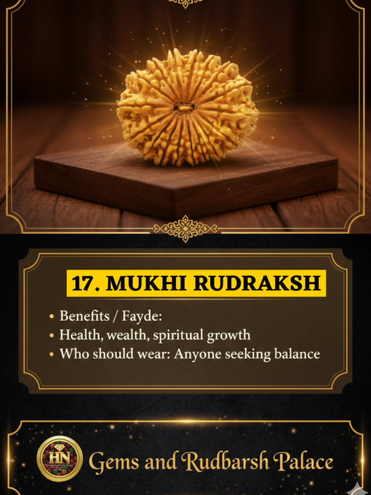 17 Mukhi Nepali Rudraksha – Original Satrah Mukhi Bead for Abundance & Success
