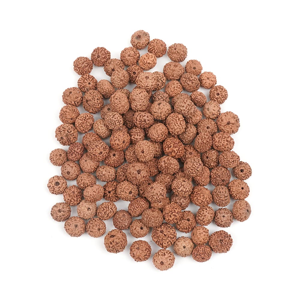 9 Mukhi Indonesian Rudraksha – Original Nau Mukhi Bead for Protection & Strength
