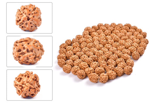 4 Mukhi Indonesian Rudraksha – Original Chaar Mukhi Bead for Wisdom & Memory