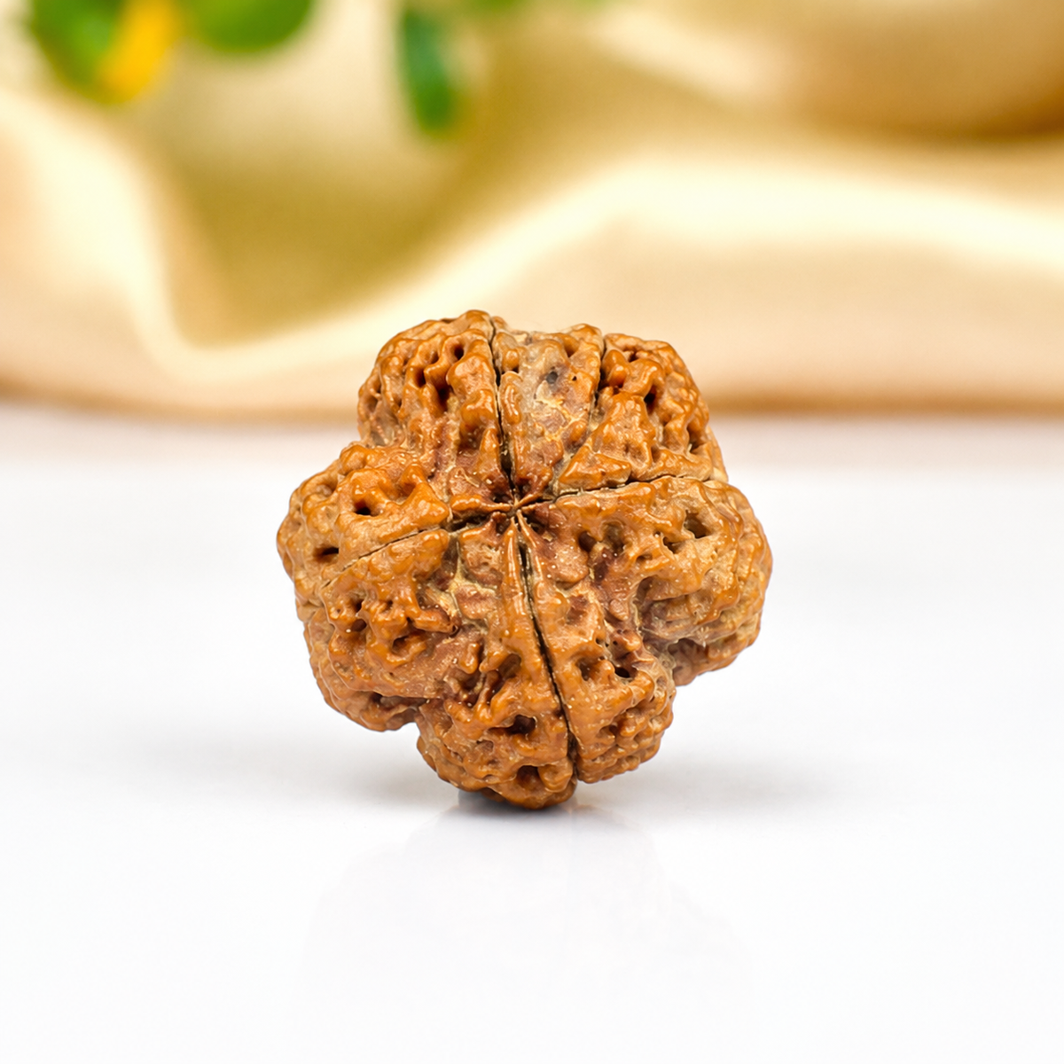 4 Mukhi Nepali Rudraksha  18mm – Original Chaar Mukhi Bead for Intelligence & Creativity