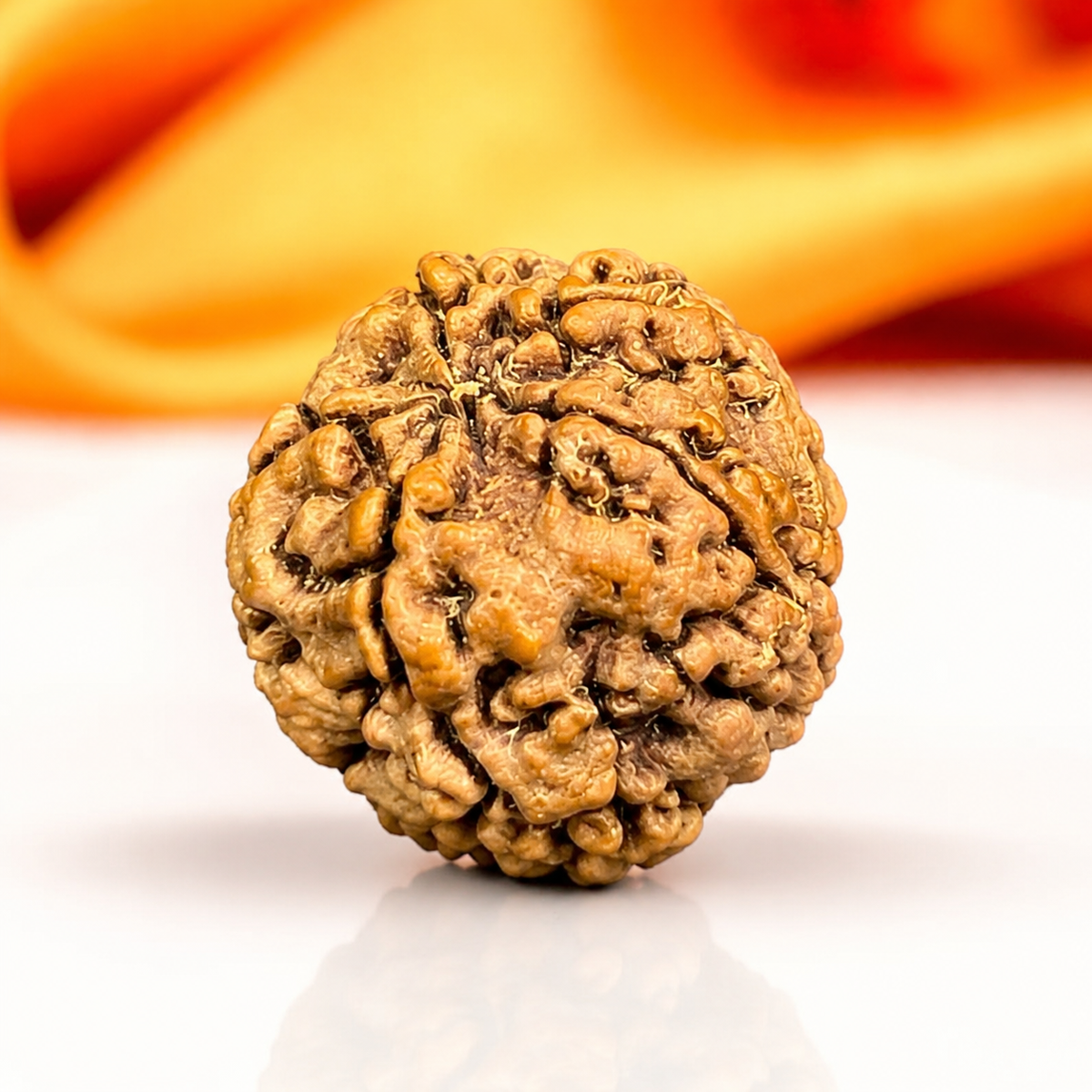 5 Mukhi Nepali Rudraksha 18mm – Original Panch Mukhi Bead for Peace & Protection