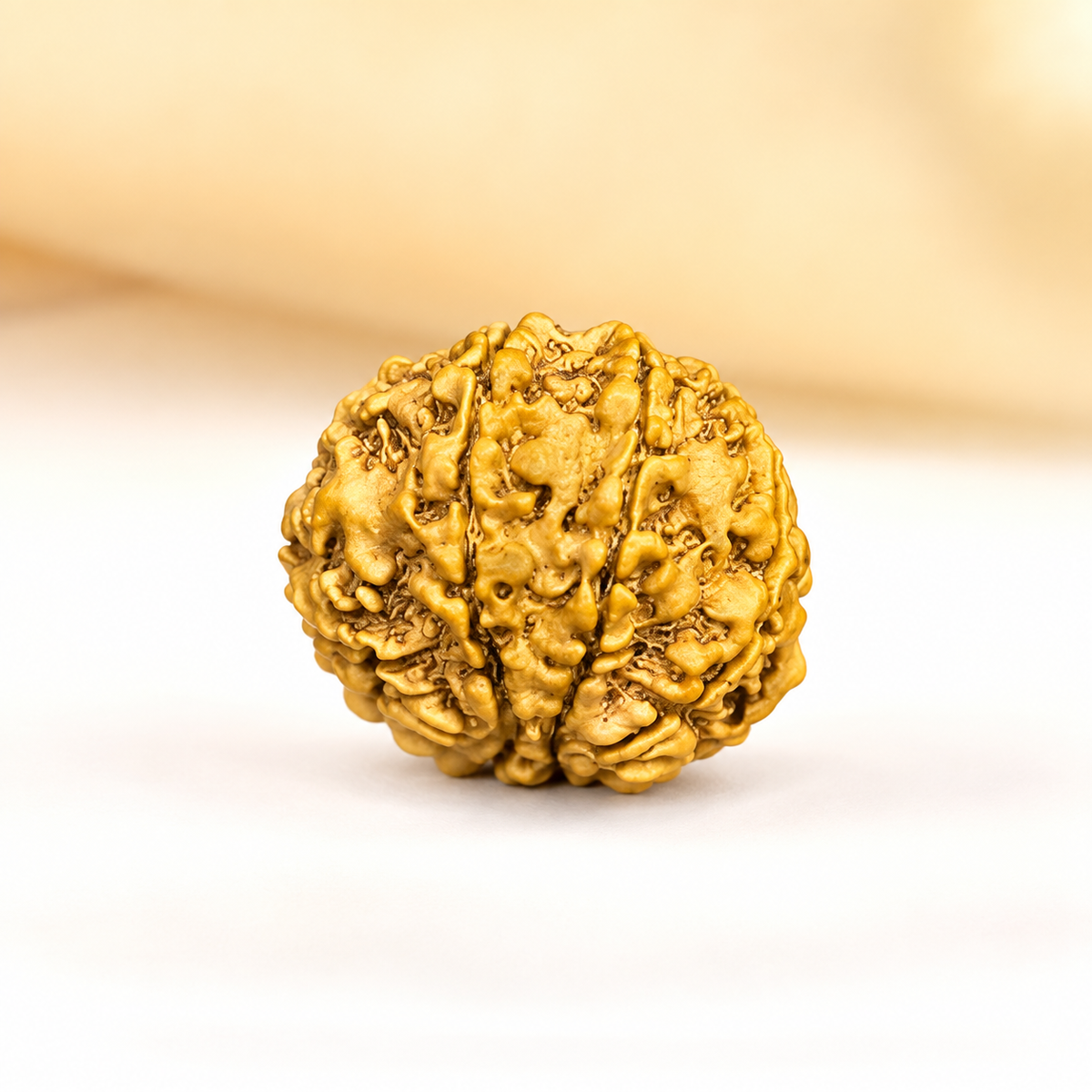 8 Mukhi Nepali Rudraksha 28mm – Original Aath Mukhi Bead for Success & Obstacles Removal