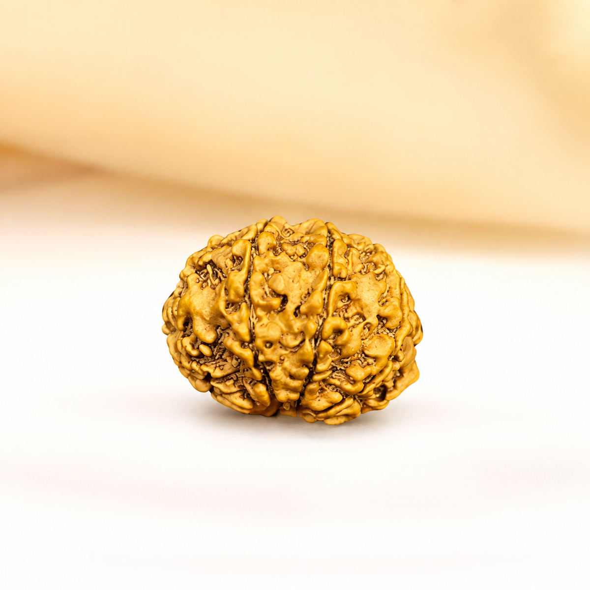 8 Mukhi Nepali Rudraksha 22mm – Original Aath Mukhi Bead for Success & Obstacles Removal