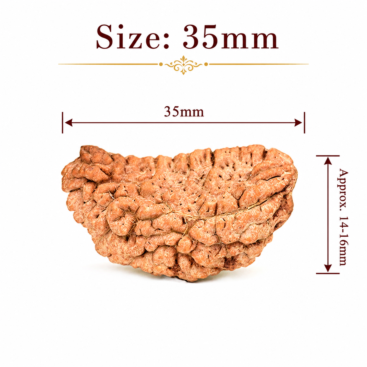 1 Mukhi Test Products